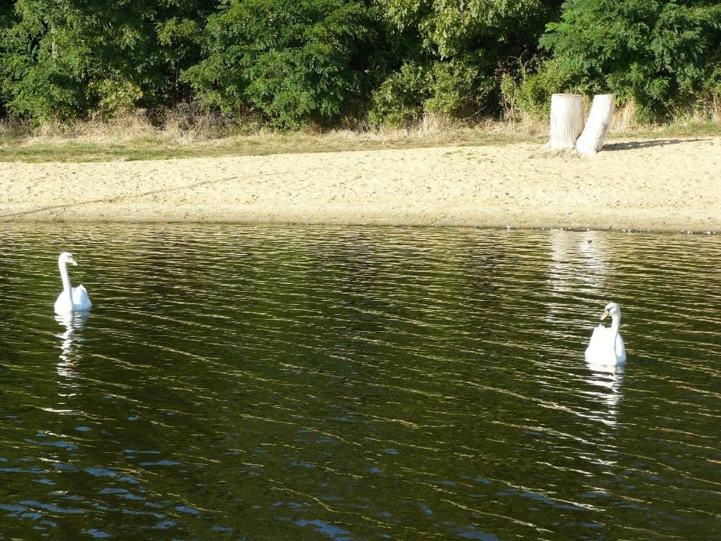 Вилла Osrodek Wypoczynkowy Sielawa Chrzypsko Wielkie Экстерьер фото